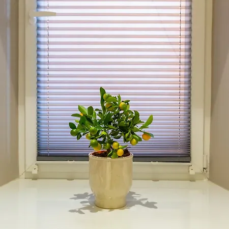 公寓 White Magnolia 4 Bedroom Premium And Parking *